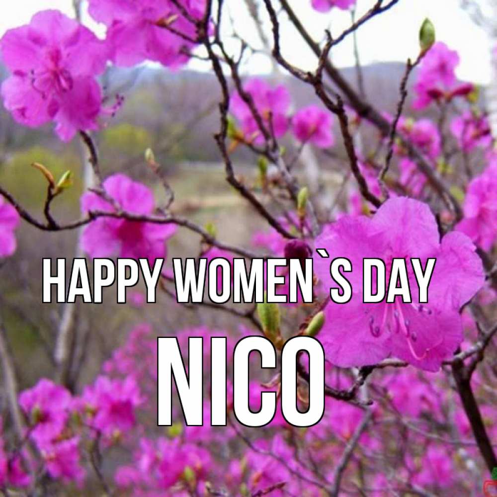 Greetings card с именем, Nico happy women`s day международный женский день Greetings with text for free download 